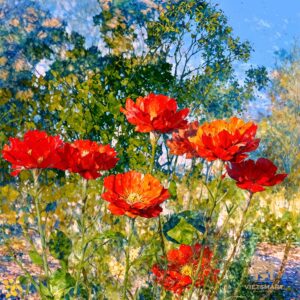 "Hoa Poppy" | 40 x 40cm | Acrylic