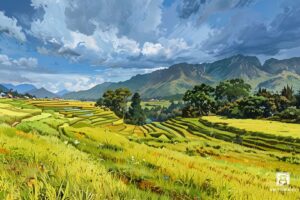 "Ruộng Bậc Thang" | 60 x 90cm | Acrylic